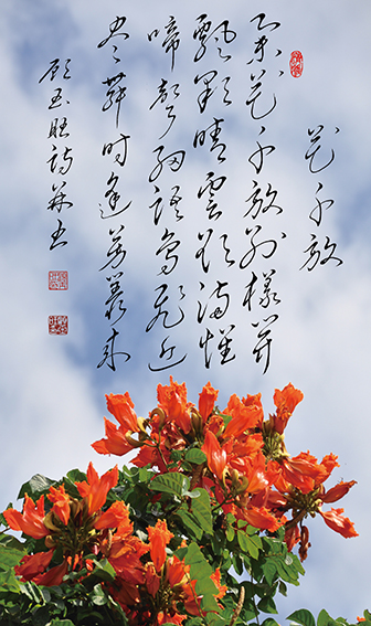顾玉旺作品《花千放》释文：举花千放别样开，飘彩晴云欲满怀。啼声细语鸟飞近，尽舞时逢芳丛来。