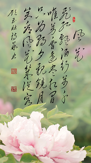 顾玉旺作品《风花》释文：飞红飘洒行万千，唯芳香远尽相间。只为朝夕亲镜月，笑看风花几从容。