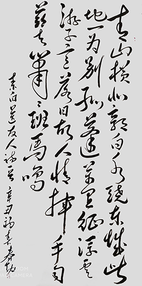 范春勤作品12