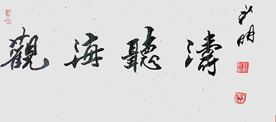 潘新明作品5《观海听涛》