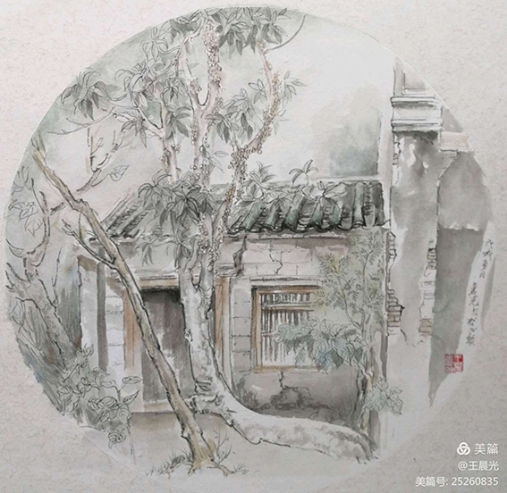 王晨光作品12