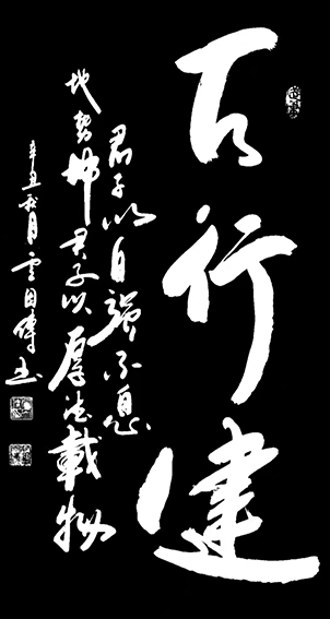 卢因传作品4《天行健》