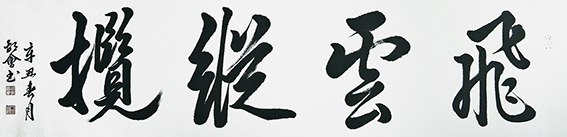 胡会作品《飞云纵揽》