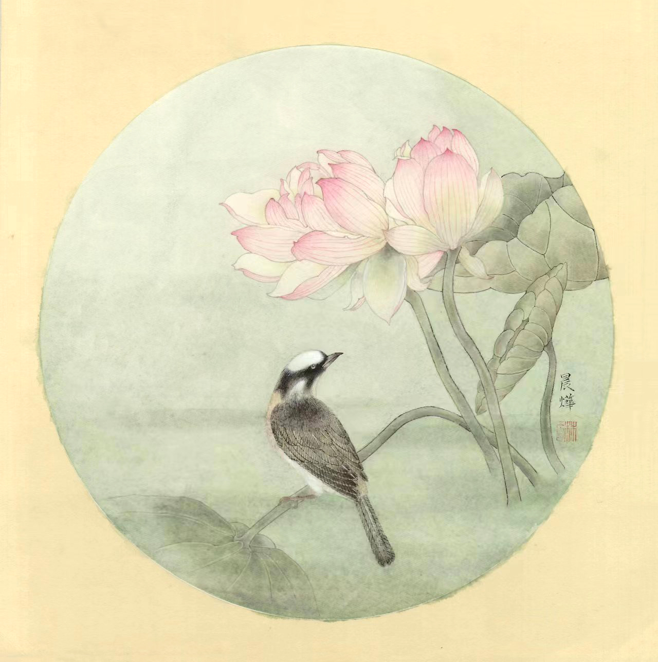 回望38×38