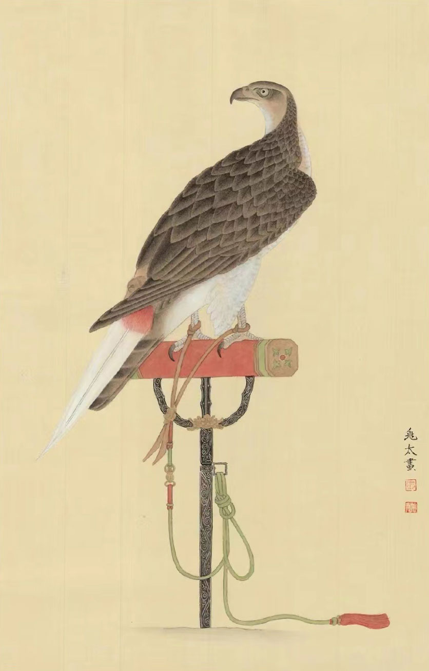 架上鹰