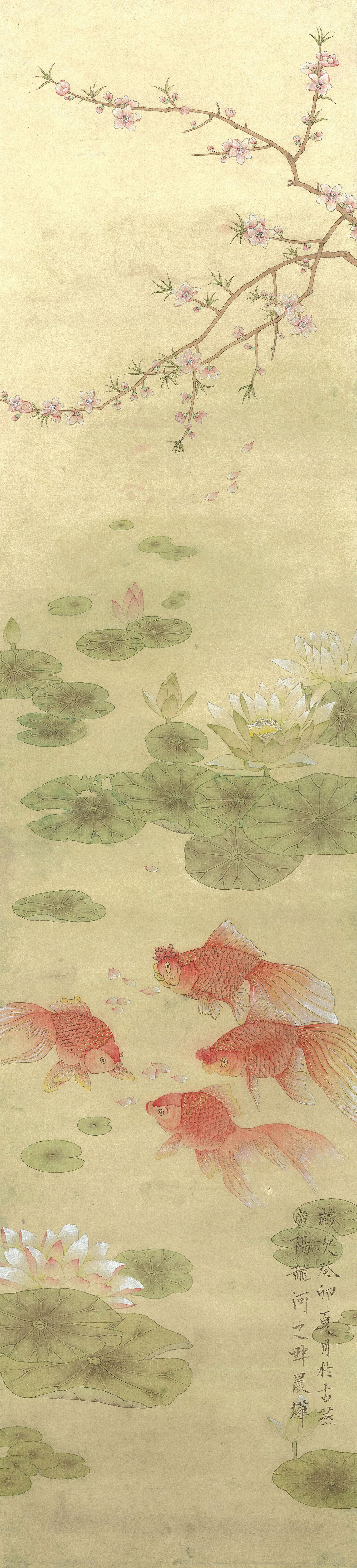 游哉游哉100×23