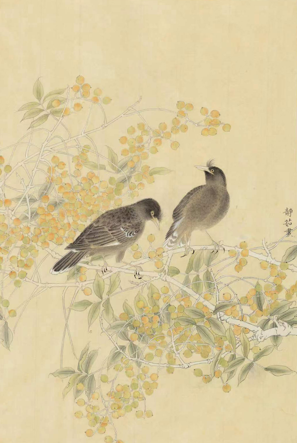 高秋
