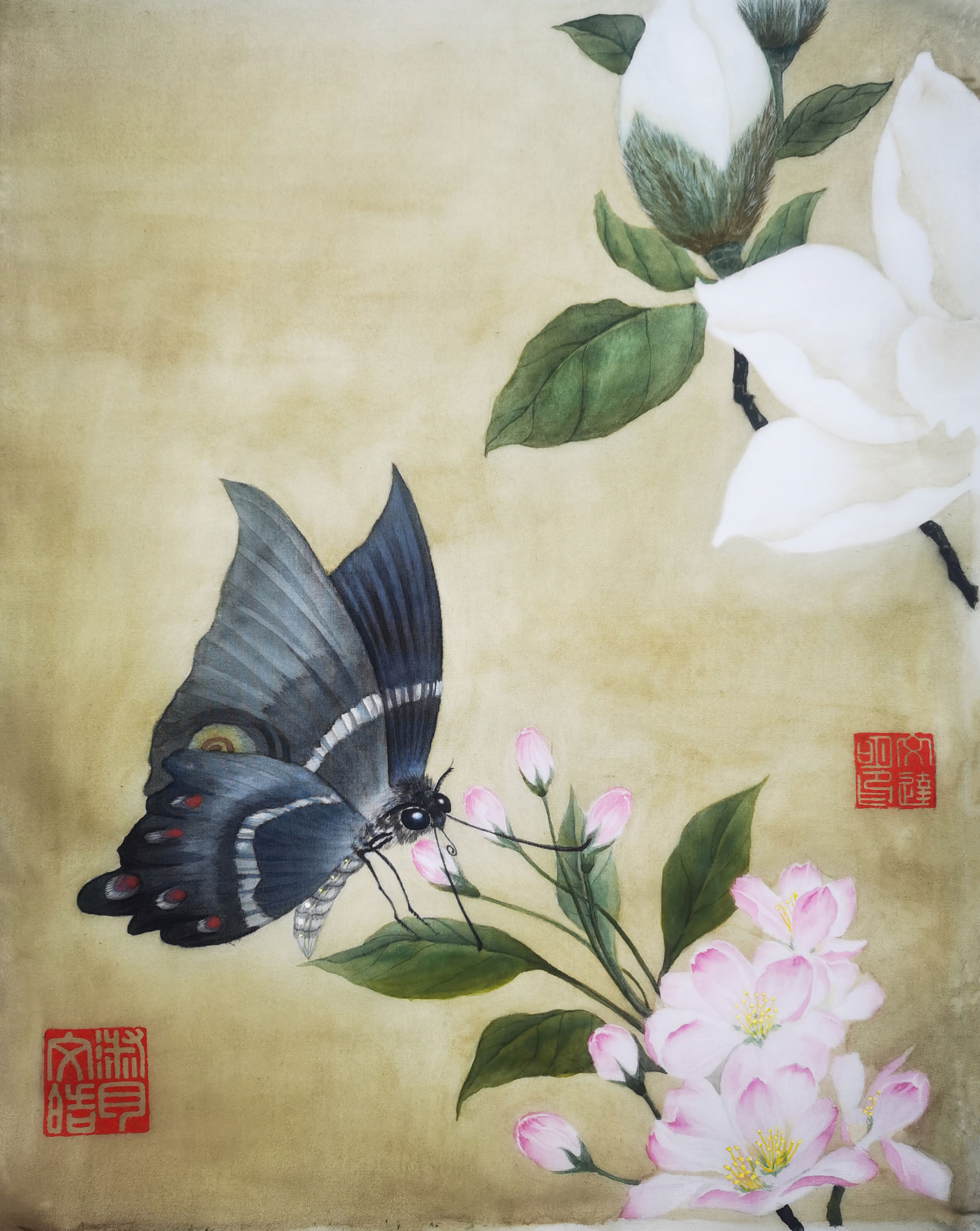《耄耋》