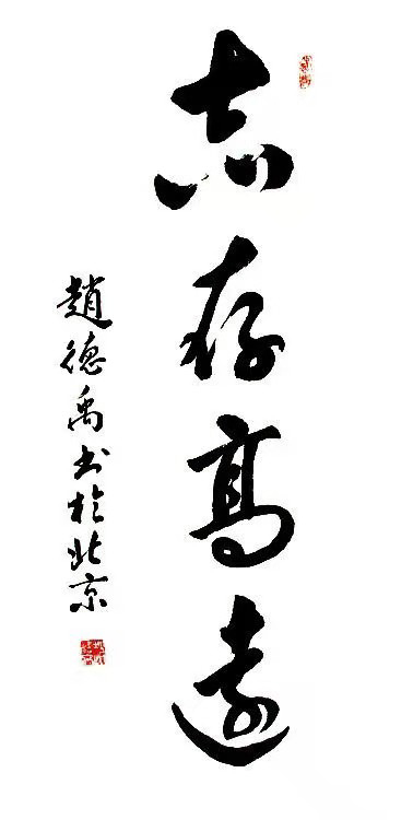 赵德禹作品6《志存高远》