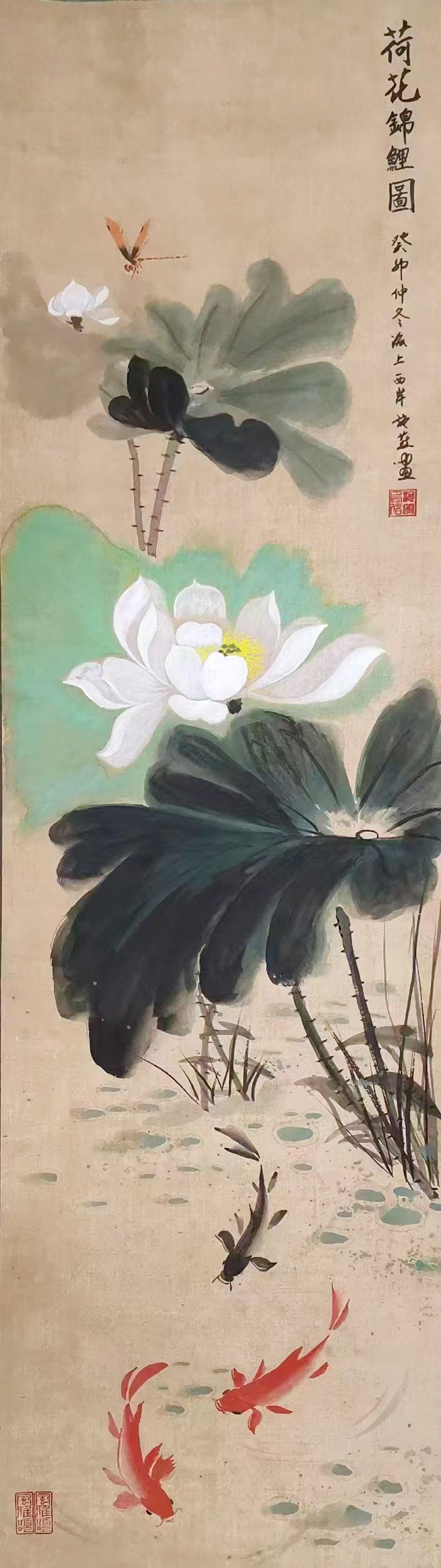 施燕作品《荷花锦鲤图》