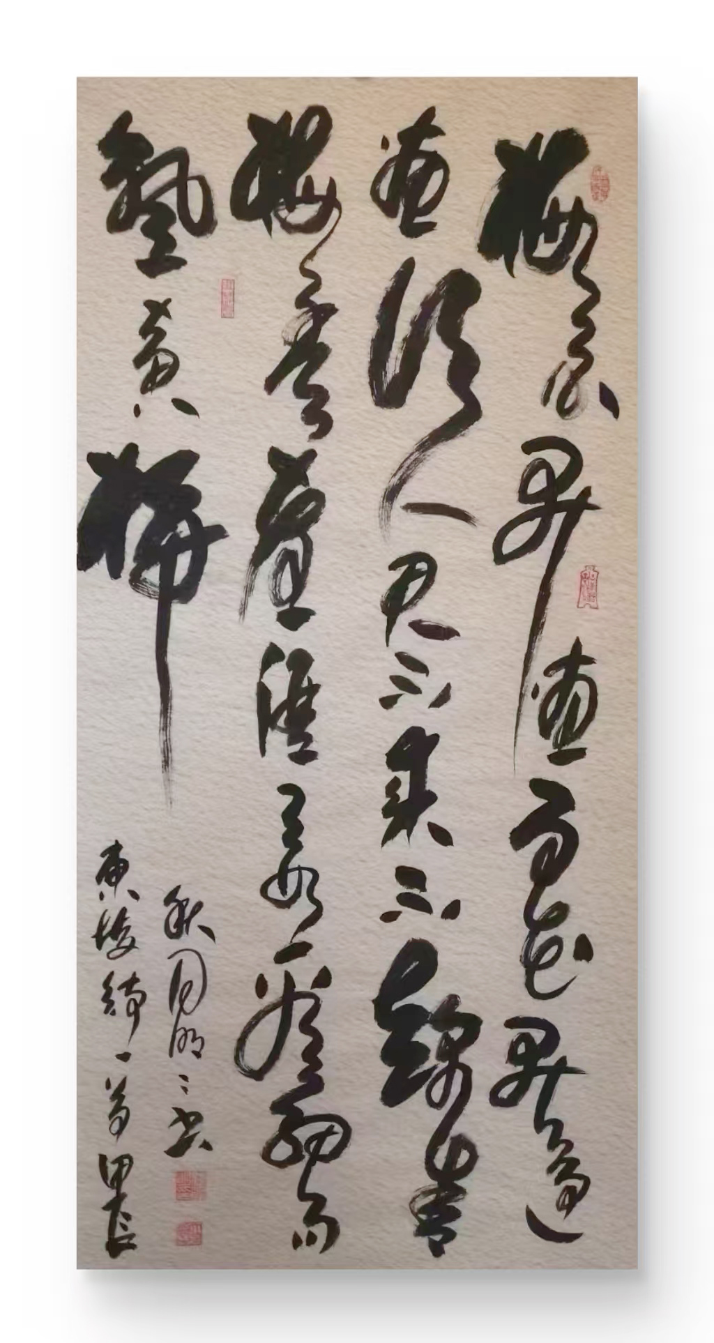 闫明明作品7苏东坡《赠岭上梅》
