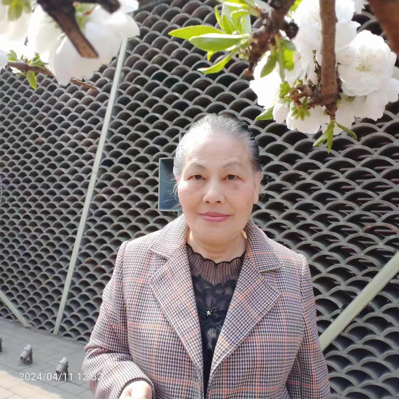 第二届特聘书法家陈斐丽